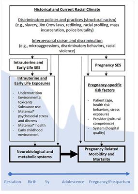 Developmental Origins of Pregnancy-Related Morbidity and Mortality in Black U.S. Women